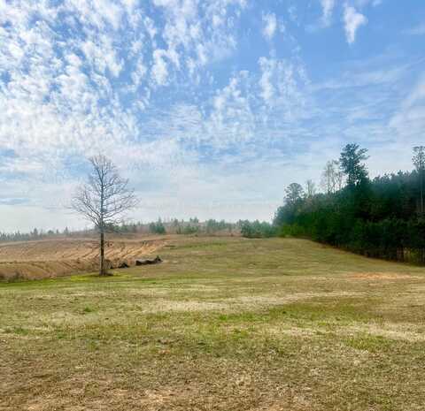 SIPSEY SHORES Dr, Jasper, AL 35503