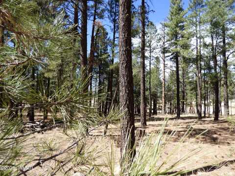 8b County Road 2267, Escudilla Rd, Alpine, AZ 85920