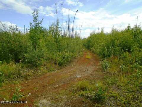 Mile 72 Parks Highway, Willow, AK 99688
