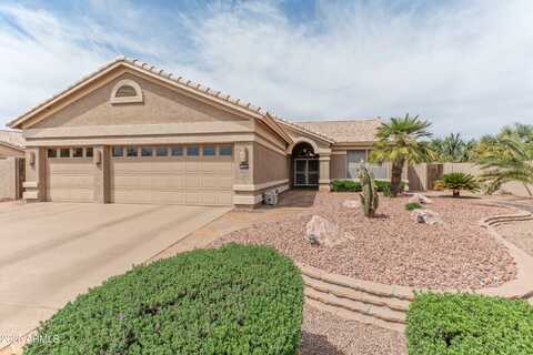 15846 W AMELIA Drive, Goodyear, AZ 85395