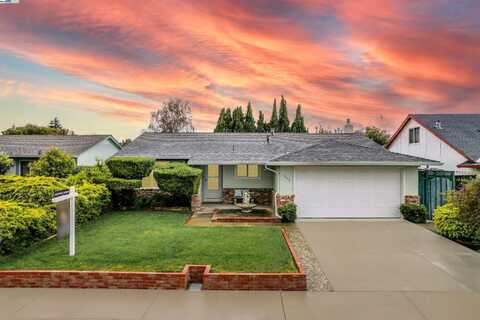 3133 San Juan Pl, Union City, CA 94587