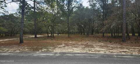 3611 Concordia Avenue SW, Supply, NC 28462