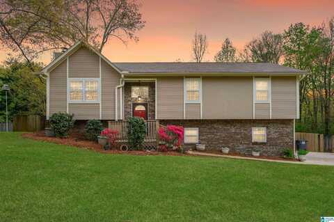 123 TOP O TREE LANE, HOOVER, AL 35244