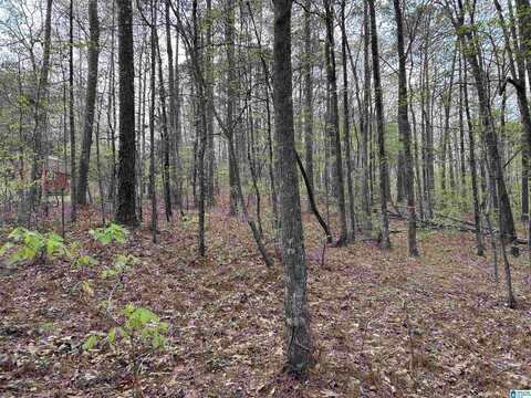 Lot 12 CIRCLE DRIVE, LAKEVIEW, AL 35111