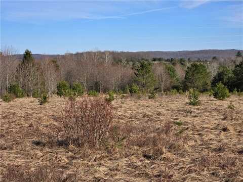 0 Bourne Hill Road, Morris, NY 13808