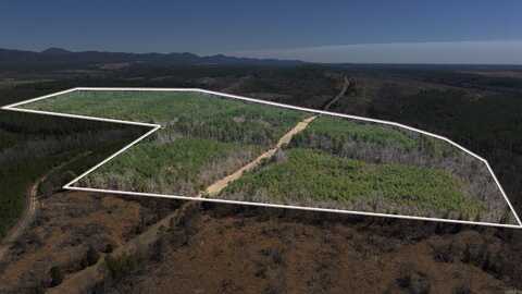 TBD Polk Road 639 Road, Vandervoort, AR 71972