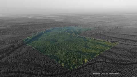 TBD Polk Road 639 Road, Vandervoort, AR 71972