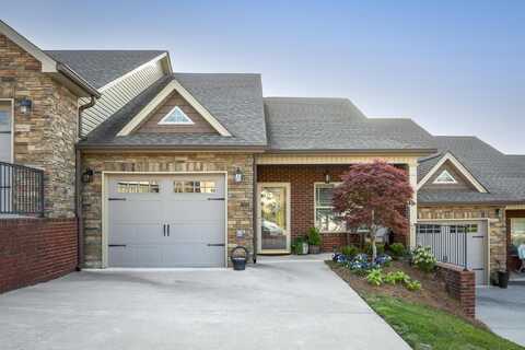 124 Hillhouse Lane, Ringgold, GA 30736
