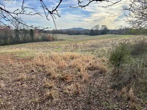 000 Maple Springs Road, Dayton, TN 37321