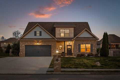 7482 Blazing Star Court, Ooltewah, TN 37363