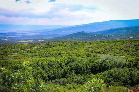 TBD HWY 65, Cedaredge, CO 81413
