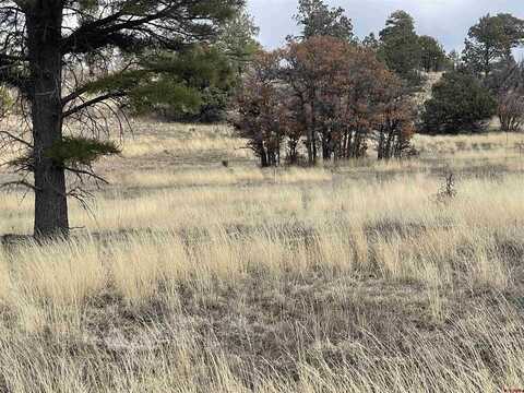 208 Pompa Drive, Pagosa Springs, CO 81147