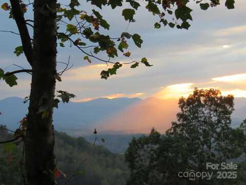 5 Soaring Hawk View, Asheville, NC 28804