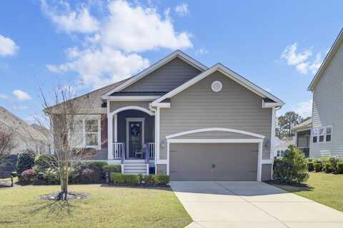345 Turnstone Street, Mount Pleasant, SC 29464