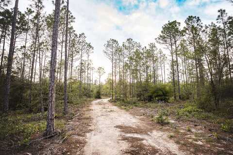 Tbd Pine Lane, Freeport, FL 32439
