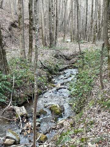 White Oaks Road, Bryson City, NC 28713