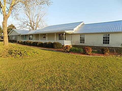 6795 S COUNTY ROAD 33, ASHFORD, AL 36312