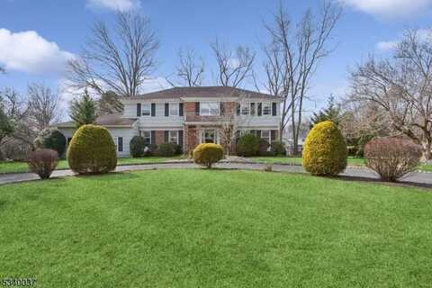 8 Debra Ct, Scotch Plains, NJ 07076