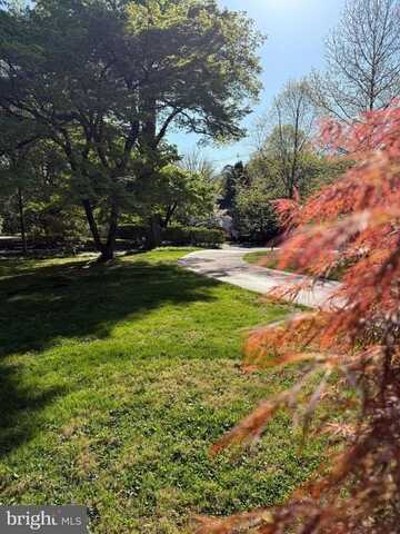 519 WALNUT LANE #, SWARTHMORE, PA 19081