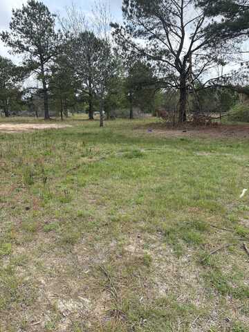 910 BLYTHE Road, Hephzibah, GA 30815