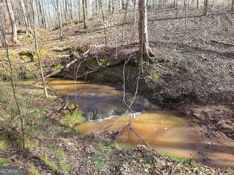 Tract 4 Highway 16, Monticello, GA 31064