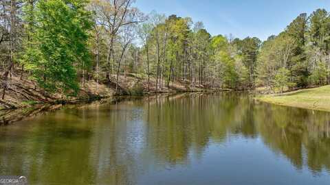 0 Arabian, Buckhead, GA 30625