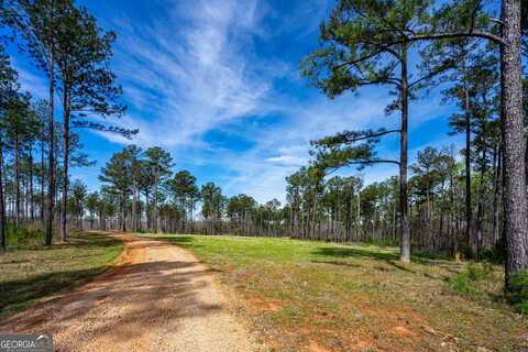 0 Shake Rag, Pine Mountain, GA 31822