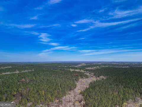 0 Shake Rag, Pine Mountain, GA 31822