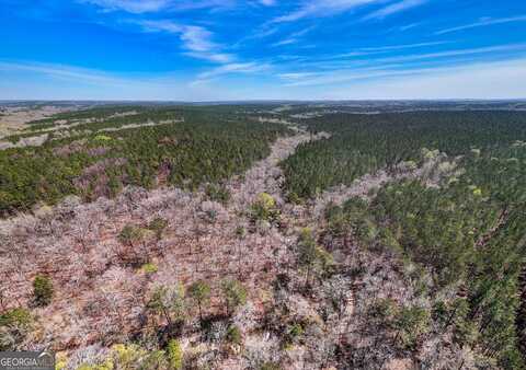 0 Shake Rag, Pine Mountain, GA 31822