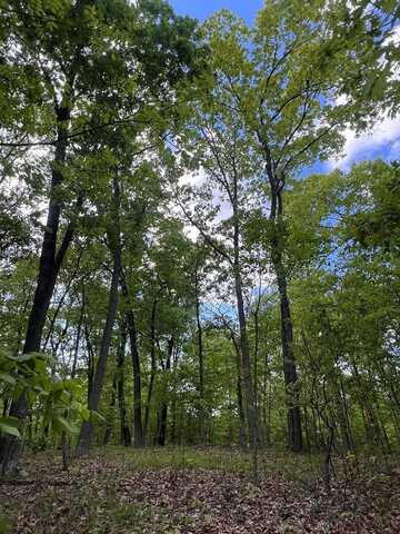 0 Owensville Rd, Lucasville, OH 45648