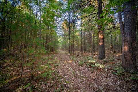 20 Acres N of 3657 Wildwood, Manistee, MI 49660