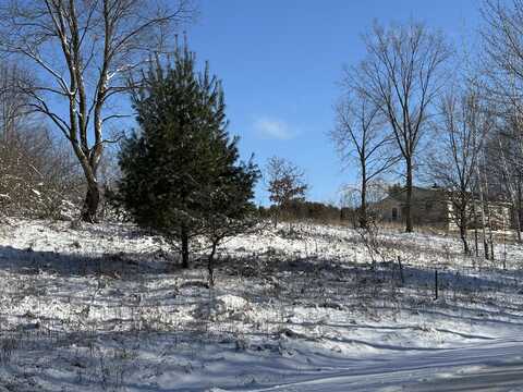 Vl 108-111 Miramichi Drive, Evart, MI 49631