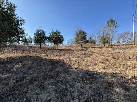 Vl Lot 122 Chippewa Trail, Evart, MI 49631