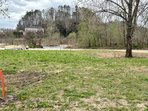 000 Lot 93 Current River Rv Park, Van Buren, MO 63965
