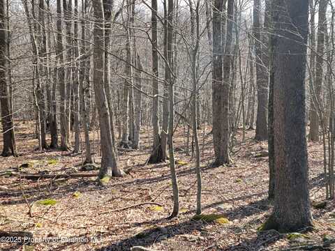 Lot 17 Navajo Path, Gouldsboro, PA 18424