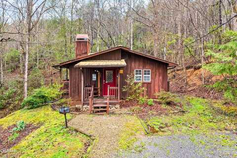 209 Teaberry Lane, Gatlinburg, TN 37738