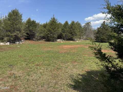 1546 W Dumplin Valley Road, Dandridge, TN 37760