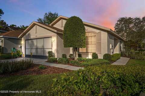 1005 Indigo Run Court, Spring Hill, FL 34609