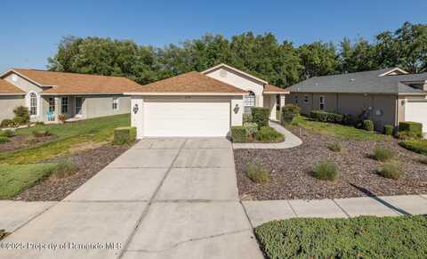 259 Center Oak Circle, Spring Hill, FL 34609