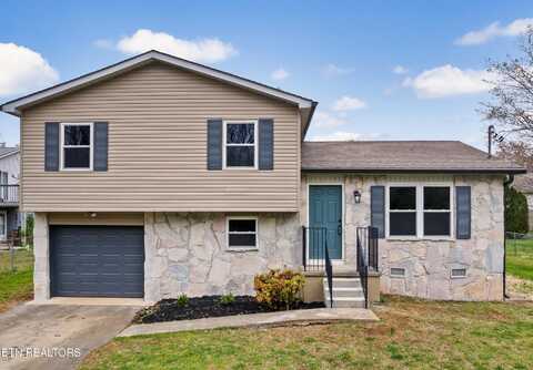 3907 Vienna Drive, Knoxville, TN 37912