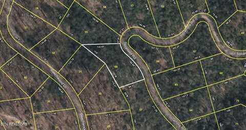 Sycamore St, Sevierville, TN 37876