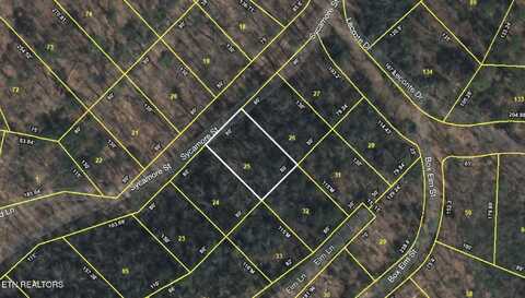 Sycamore St, Sevierville, TN 37876