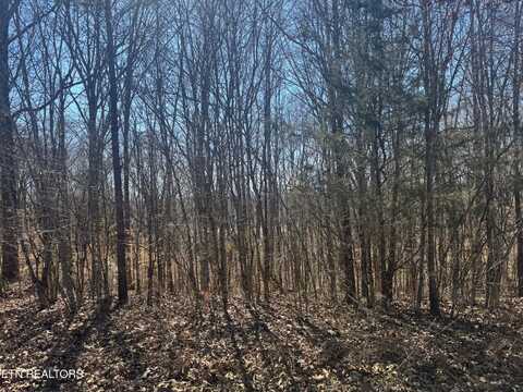 Lot 71 Saddle Ridge Drive, Speedwell, TN 37870