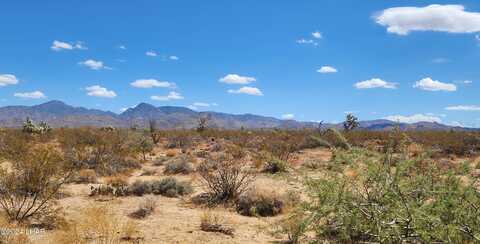 496 S Billy The Kid Rd, Yucca, AZ 86438