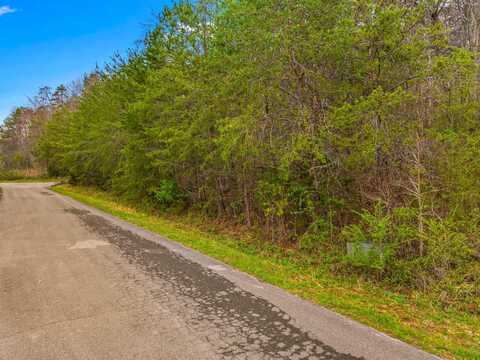 English Fields Drive, Newport, TN 37821