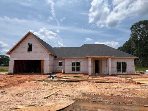 33 M D Thompson Rd, Moselle, MS 39459