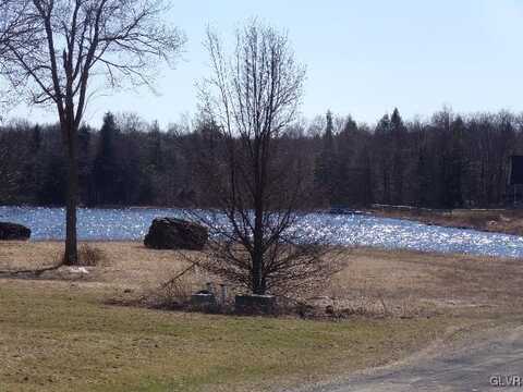 Covington Lakes Drive, Lackawanna, PA 18424