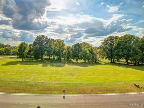 Hidden Oaks Avenue lot: 37, Pike Road, AL 36064