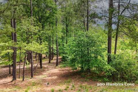 200 Hunters Cove, Mathews, AL 36052