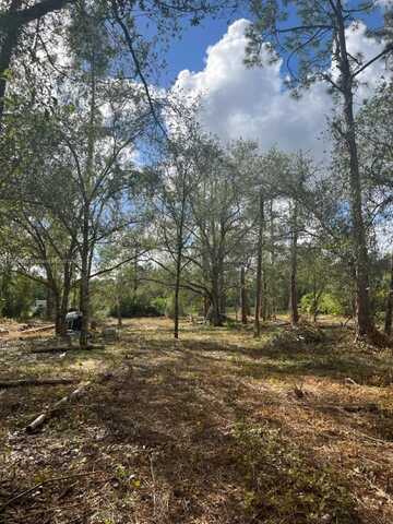 712 WOODLAND BLVD, Clewiston, FL 33440